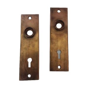 Bronze Door Plate Pair