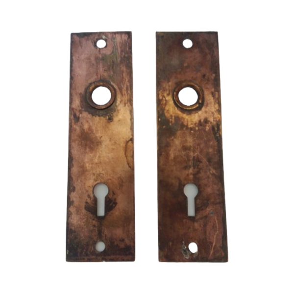 Bronze Door Plate Pair