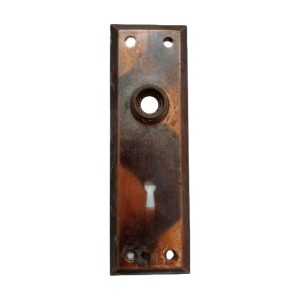 Door Face Plate 33