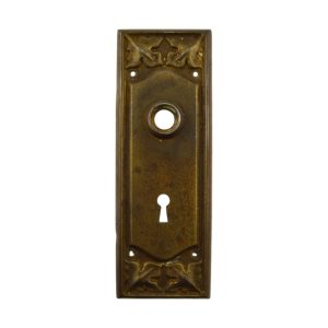 Penn Gerard Door Plate Brass Finish