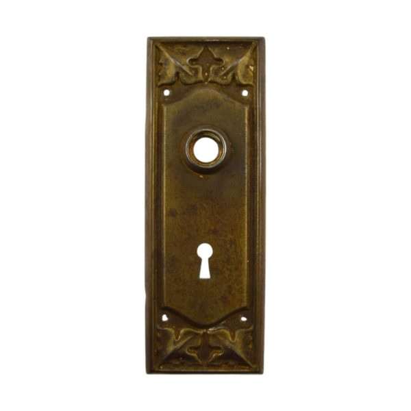 Penn Gerard Door Plate Brass Finish