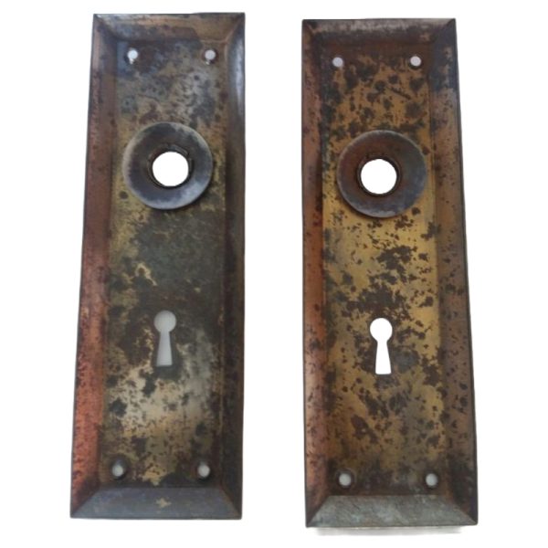 Wrought Steel Door Plate Pair