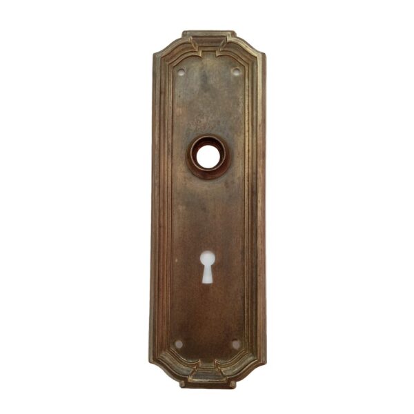 Yale Zenobian Door Plate