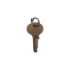 Master Key with Lion