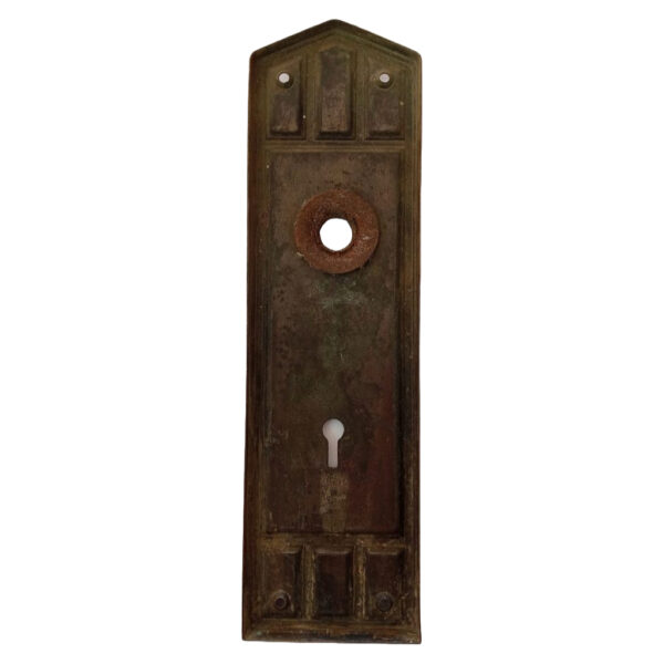 Lockwood Colebrook Exterior Plate- Bronze