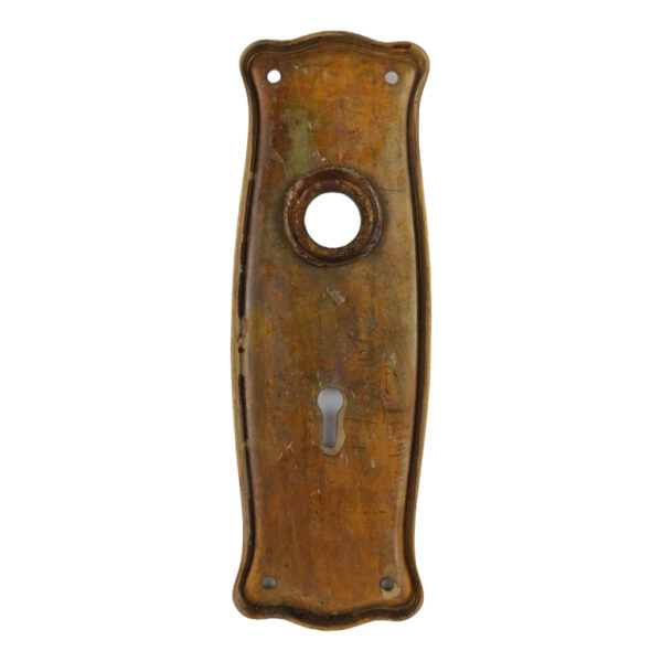 Sargent Hampton Door Plate Brass