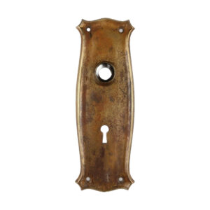 Springer Mackenzie Door Plate Brass