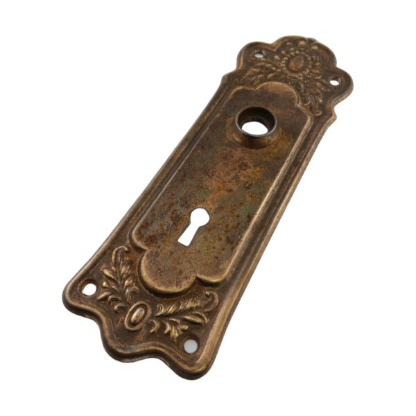Lockwood Oakdale Door Plate Brass Finish