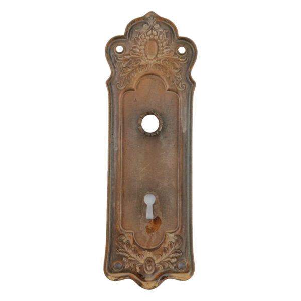 Lockwood Oakdale Door Plate Brass Finish