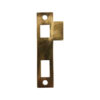 Strike Plate 19- Brass