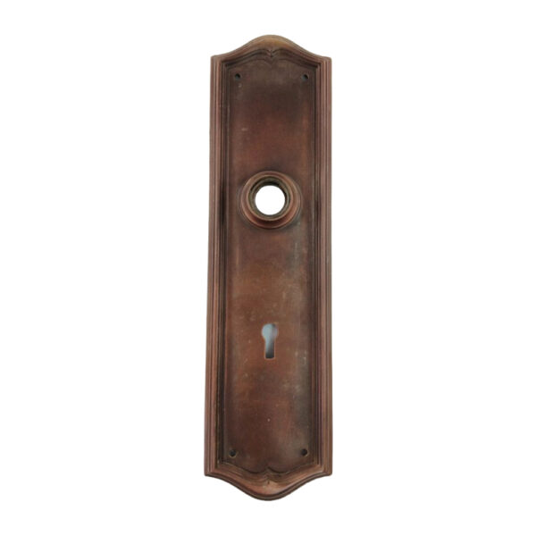 Sargent Hudson Exterior Face Plate