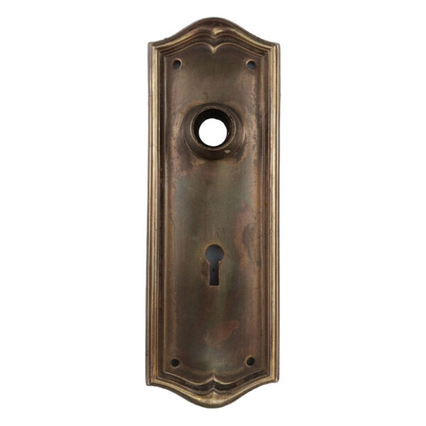 Sargent Hudson Face Plate Brass