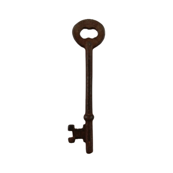 Curtis Skeleton Key