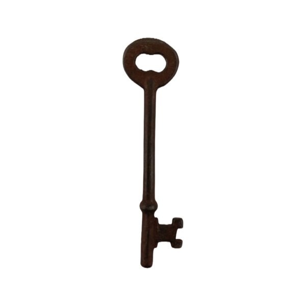Curtis Skeleton Key