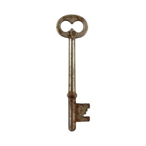 Bi-Metallic Skeleton Key 19