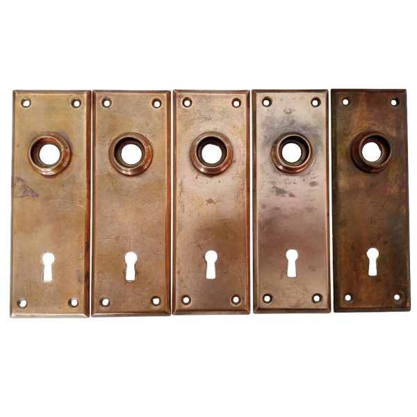 Basic Bronze Door Plate