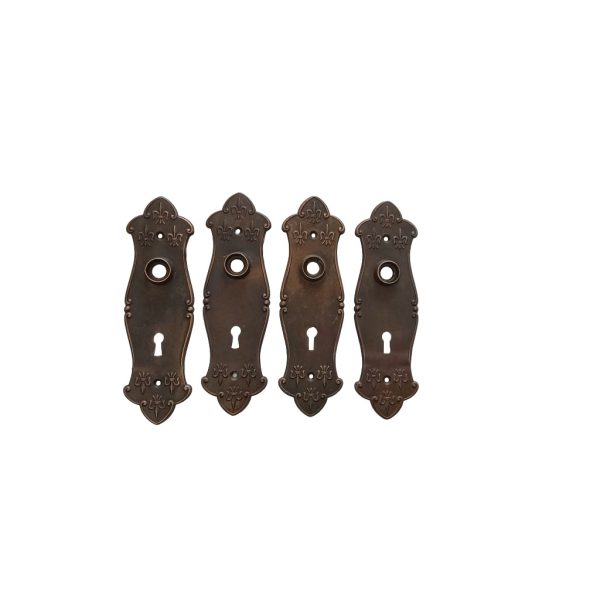 Lockwood Fleur De Lis Door Plate