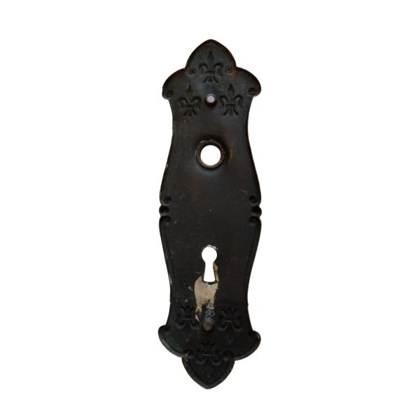Lockwood Fleur De Lis Door Plate