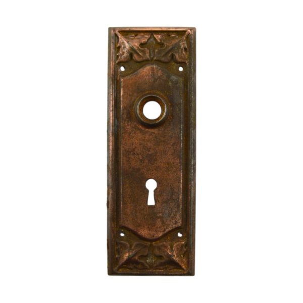 Penn Gerard Door Plate Copper Finish