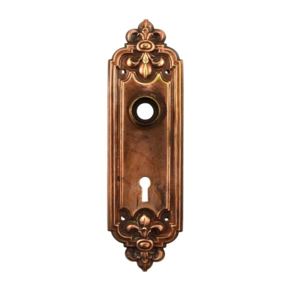 LeRoy Door Plate by Russell and Erwin Bronze