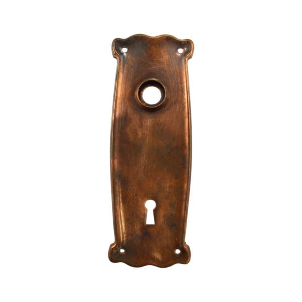 US Steel Lafeyette Door Plate Bronze