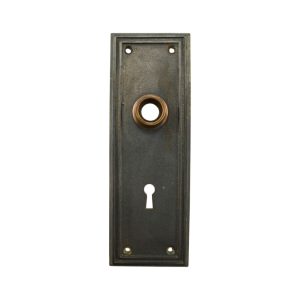 Sargent Andros Door Plate Cast Iron