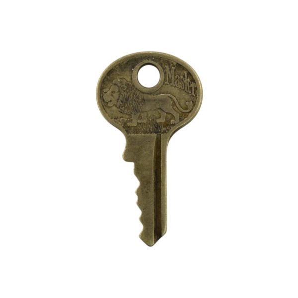 Master Key with Lion- Steel A436
